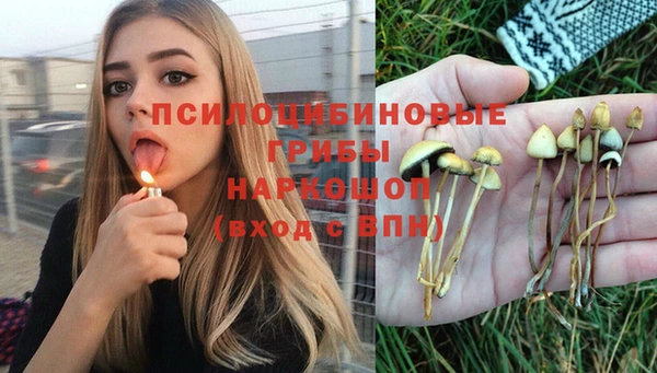 кокс Абинск