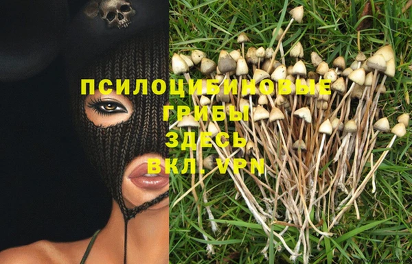 соль ск Абаза