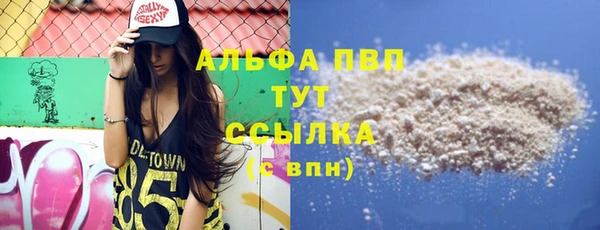 стафф Новозыбков