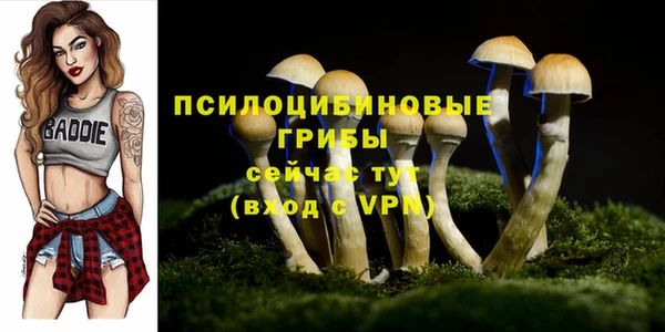 гашик Абдулино