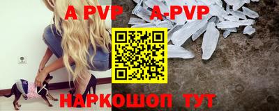 spice Кунгур